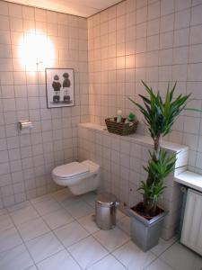 a bathroom with a toilet and a plant in it at B&B Het Venloos Plekje in Venlo