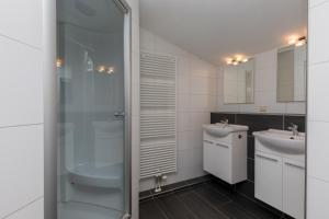 a bathroom with a shower and a sink at Nautic Rentals - Marinapark Oude-Tonge in Oude-Tonge