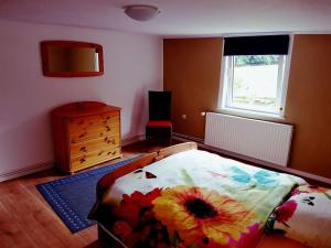 ein Schlafzimmer mit einem Bett, einer Kommode und einem Fenster in der Unterkunft Ferienwohnung Trompeter in Hummersen