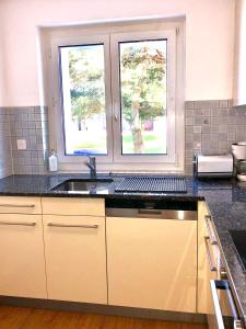 Kuchyň nebo kuchyňský kout v ubytování Konstanz nähe, ruhiges 4-Zim-Wohnung bis 8 Personen