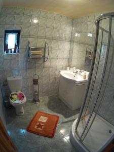 ein Bad mit einer Dusche, einem WC und einem Waschbecken in der Unterkunft Ferien auf dem Lande in Leopoldshagen