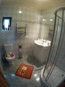 ein Badezimmer mit Dusche, Toilette und Waschbecken in der Unterkunft Ferien auf dem Lande in Leopoldshagen