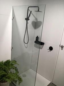 a bathroom with a shower stall with a light on at SEA-esta in Nelly Bay