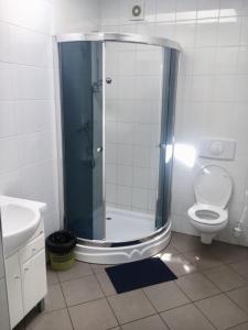 a bathroom with a shower with a toilet and a sink at Pensjonat Tahiti in Rowy