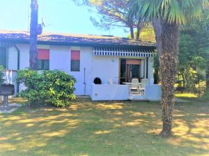 uma casa branca com uma palmeira num quintal em Villa Vittoria em Bibione