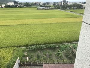 锦外面的花园