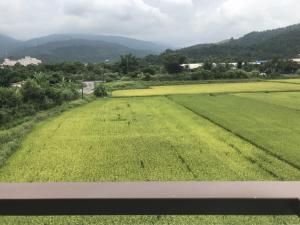 民宿周边自然景观