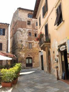 un callejón en un antiguo edificio de piedra con plantas en Porta nuova home, en Colle Val D'Elsa