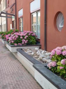 a row of flowers on the side of a building at Vista Hotel & Residence in Mantova