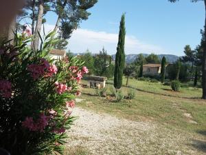 un giardino con panchina e alcuni fiori di clair de lune a Saint-Rémy-de-Provence