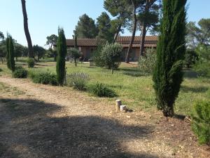 un giardino alberato e una casa sullo sfondo di clair de lune a Saint-Rémy-de-Provence