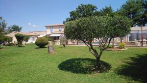 a tree in the yard of a house at Chambre et table d'hôtes Villa Pomponette in Nans-les-Pins