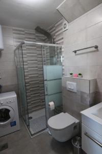 un bagno con doccia, WC e lavandino di A&D Apartments a Rovigno (Rovinj) Altre 34 foto