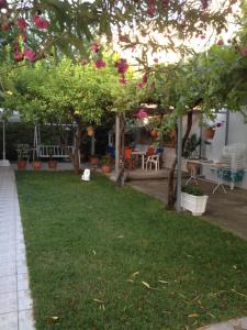 a yard with trees and chairs and a lawn with a yard sidx sidx at Aggeliki-Smaro Studios in Neos Pirgos