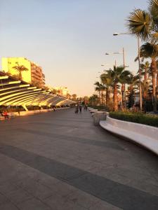 una calle de la ciudad con palmeras y una acera en SAL -Estudio a 200m de la playa del Cura en Torrevieja