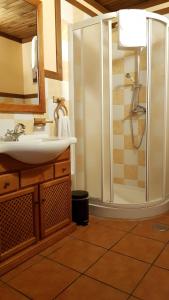 a bathroom with a shower and a sink at Aldea Rural A Cortiña in Pepín