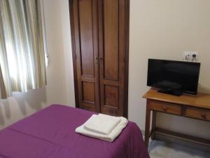 1 dormitorio con cama morada y TV de pantalla plana en Hostal Orly, en Camponaraya