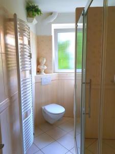 bagno con servizi igienici e finestra. di Ferienwohnung Sonnenhaft a Baden-Baden