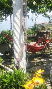 a hammock tied to a palm tree with flowers at La Corte di Nonno in Frascati