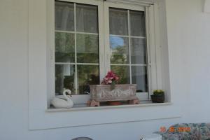 uma janela com flores numa caixa no parapeito da janela em ELENI'S VILLAGE RELAXATION HOME em Edipsos