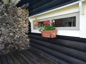 Fotografie z fotogalerie ubytování Safari House v destinaci Otepää
