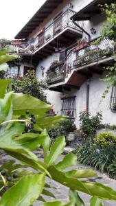 Airuno的住宿－"LA TAVERNA" B&B，一座带阳台的建筑,前面有植物