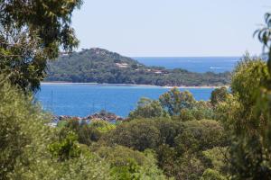 a view of a large body of water with trees at Royal Palm in Porto-Vecchio