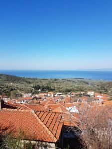 a town with red roofs and the ocean in the background at Dimitra's Garden Villa in Kallirakhi