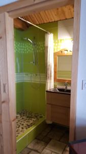 a green bathroom with a shower and a sink at Chez Liadet in Mouthe