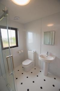 a bathroom with a toilet and a sink at Golfview in Buckie