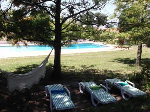 two lounge chairs and a hammock under a tree near a pool at Monte da Cardela Nova in Melides