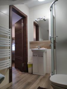 uma casa de banho com um lavatório e um espelho em Pokoje na Jasnej em Colberga