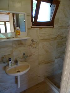 ein Bad mit einem Waschbecken und einem Spiegel in der Unterkunft Apartmani Vinici in Danilovgrad