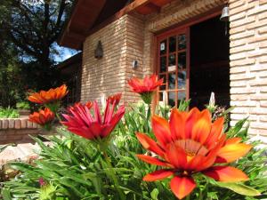 a group of flowers in front of a building at Cabañas Mirasoles in Villa General Belgrano