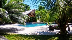 a swimming pool with a chair and a palm tree at Villa Kalachuchi V.K in Puerto Princesa City