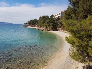 a beach with trees and water and a building at Apartments Mija in Bol