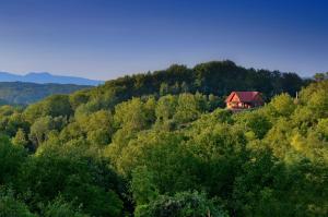 Fotografia z galérie ubytovania Green silence v destinácii Bedenica