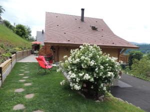Příroda nedaleko bed and breakfast