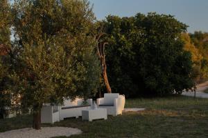 un parque con un banco blanco y dos árboles en Masseria Di Benedetto en Ostuni