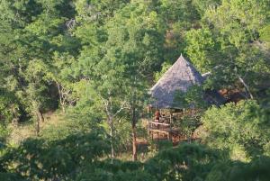 uma casa no meio de uma floresta de árvores em Sable Mountain Lodge, A Tent with a View Safaris em Kisaki