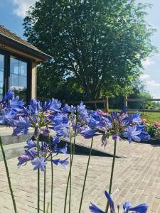 Ảnh trong thư viện ảnh của B&B De Windheer ở Sint-Martens-Lennik