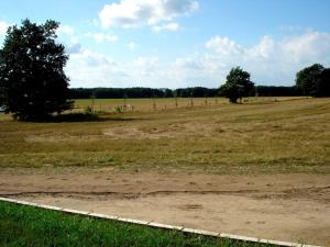 een veld met een onverharde weg in het midden bij Ferienhaus _Felix_ mit freiem Blic in Korswandt