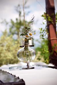 um vaso de vidro com flores sobre uma mesa em Penzion Adamův Dvůr em Masákova Lhota