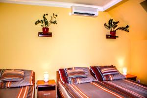 En eller flere senge i et værelse på Nexus Vendégház Szeged