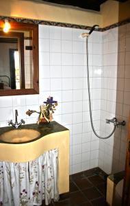 uma casa de banho com um lavatório e um chuveiro em Salazar em Mazo