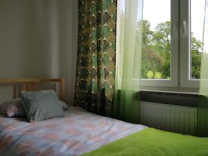 - une chambre avec un lit et une fenêtre dans l'établissement Sielskie Apartamenty, à Sandomierz
