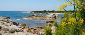 a group of rocks on a beach with the water at Le Golfe in Figari