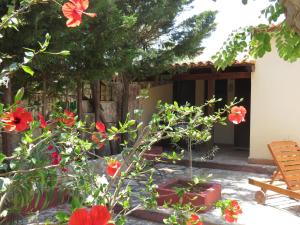 a garden with flowers in front of a house at Baglio Del Sole in San Vito lo Capo