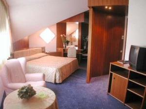 TV a/nebo společenská místnost v ubytování Hotel Bellavista