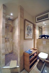 een badkamer met een douche en een toilet bij Chambres d'hôtes Artelit in Lyon